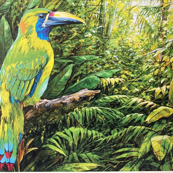 8x10" Colombia Cafe Quindio Art Print (w/mat): Green Tucan - HOME - Picture 4 of 6